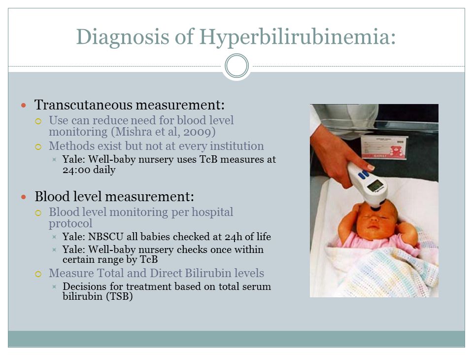 Neonatal Hyperbilirubinemia ppt download